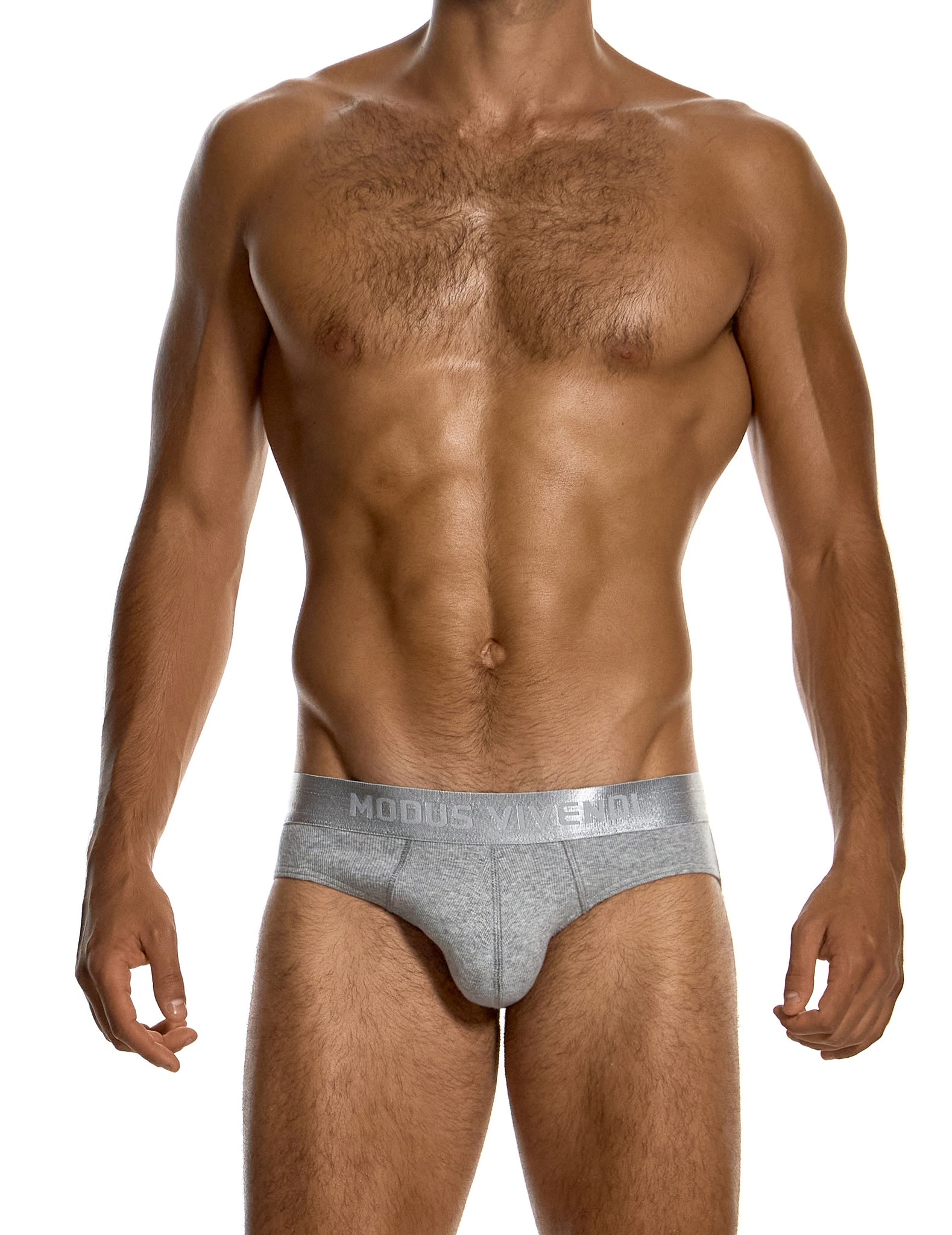 Modus Vivendi Ribbed Cotton Classic Brief Grey - BANG & STRIKE (view 2)