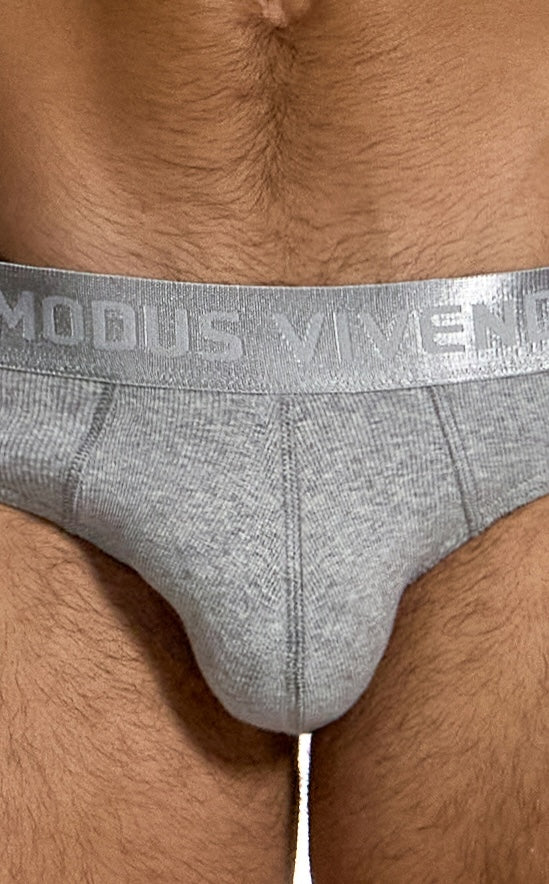 Modus Vivendi Ribbed Cotton Classic Brief Grey - BANG & STRIKE (view 6)