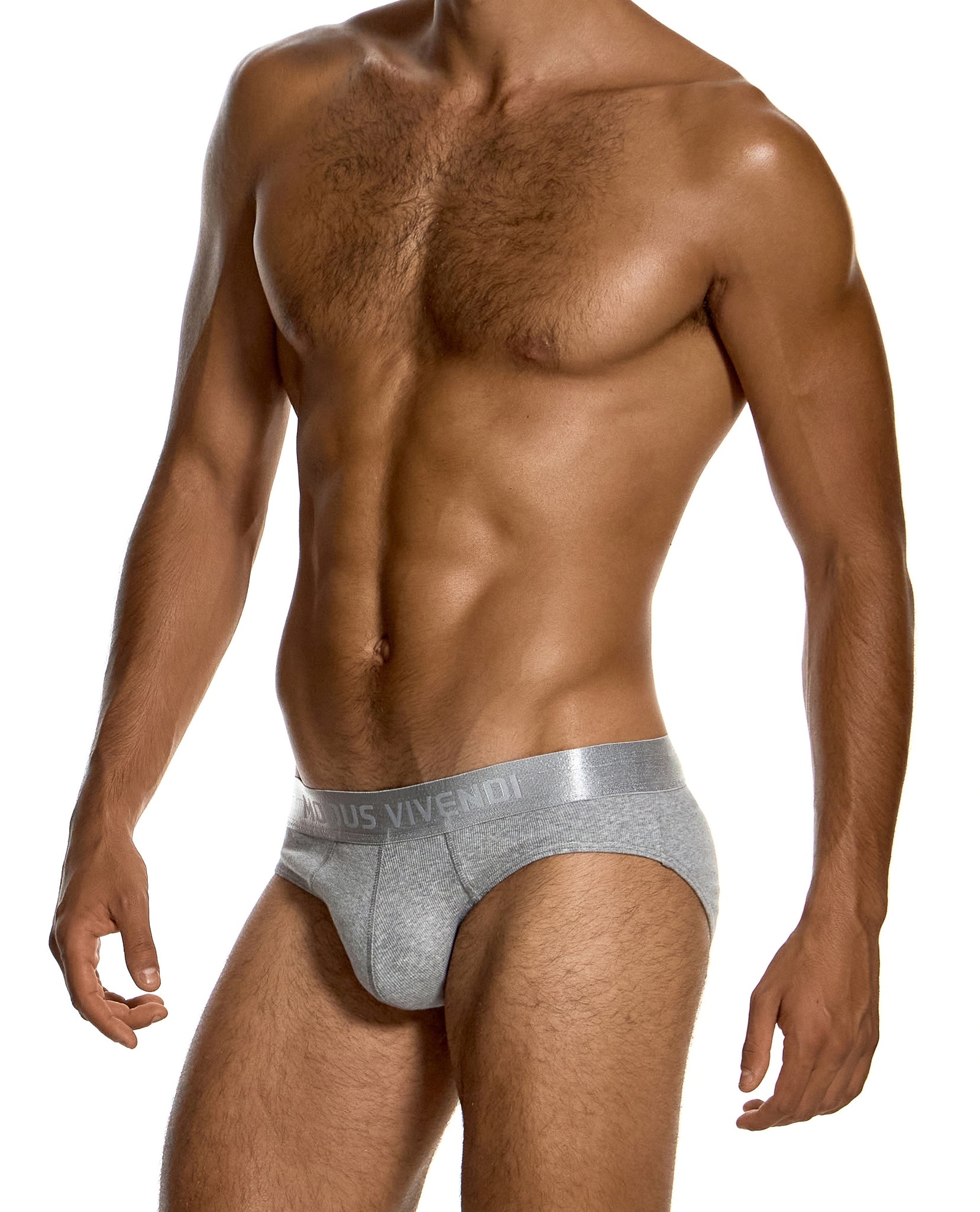 Modus Vivendi Ribbed Cotton Classic Brief Grey - BANG & STRIKE (view 4)