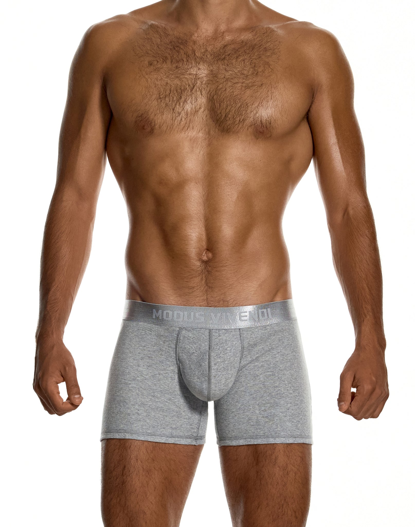 Modus Vivendi Ribbed Cotton Long Boxer Grey - BANG & STRIKE (view 2)