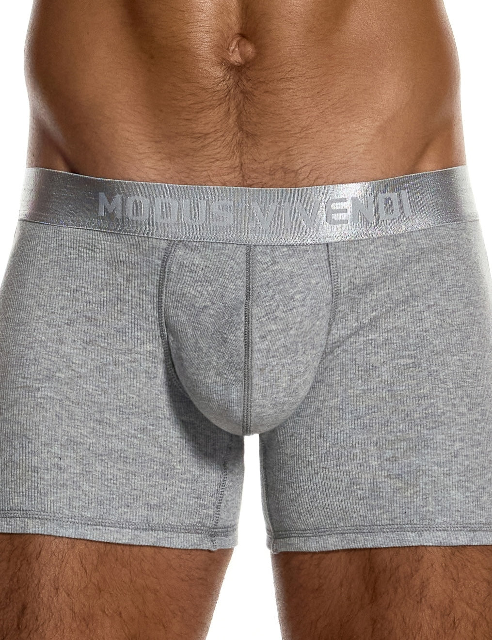 Modus Vivendi Ribbed Cotton Long Boxer Grey - BANG & STRIKE (view 6)