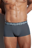 SALIGIA Grey Nylon Anaerobic Club Trunk - BANG & STRIKE (view 6)