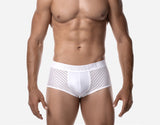 PUMP! Whisper White Boxer - BANG & STRIKE